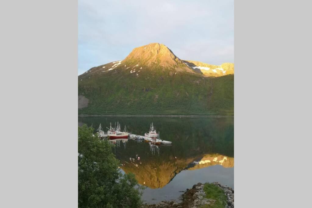 Waterfront Senja 3 Leilighet Torsken Eksteriør bilde