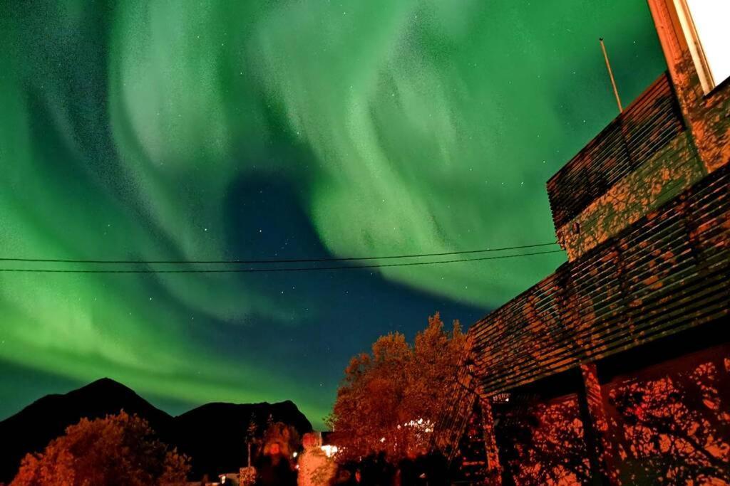 Waterfront Senja 3 Leilighet Torsken Eksteriør bilde