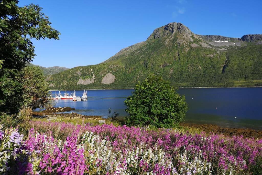 Waterfront Senja 3 Leilighet Torsken Eksteriør bilde